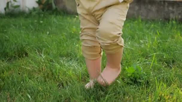 Adam ve küçük çocuk çıplak ayaktaze yeşil çim yürümek — Stok video