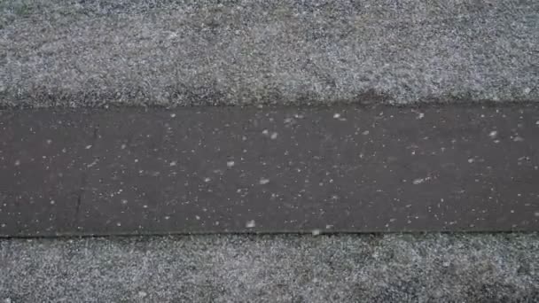 Första snöfall. snö faller på trottoaren — Stockvideo