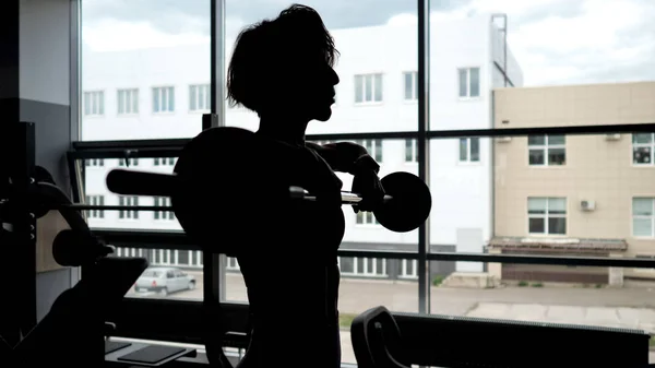 어깨 근육에 대한 창 리프팅 바벨에서 여자의 실루엣. — 스톡 사진