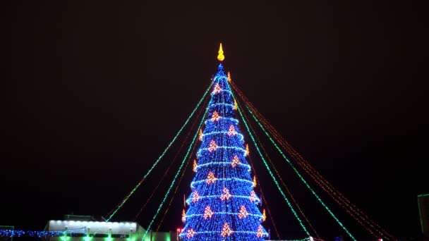 Şehir sokaklarında çelenkleri olan yüksek yapay Noel ağacı — Stok video