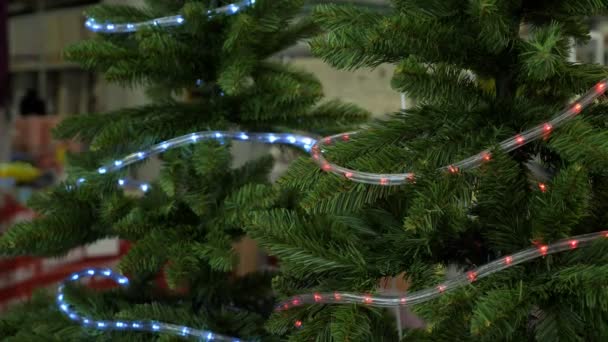 Artificial christmas tree branches with shining garlands — Stock Video