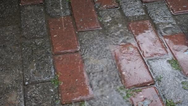 Капли дождя падают на мощеные камни — стоковое видео