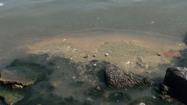 Ondas do mar surfar lixo para costa rochosa praia poluente — Vídeo de Stock