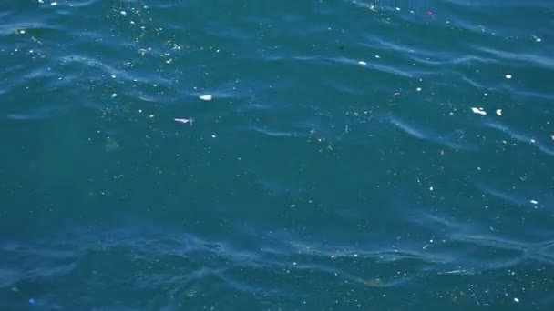 Human trash floats in sea polluting environment closeup — Stock Video