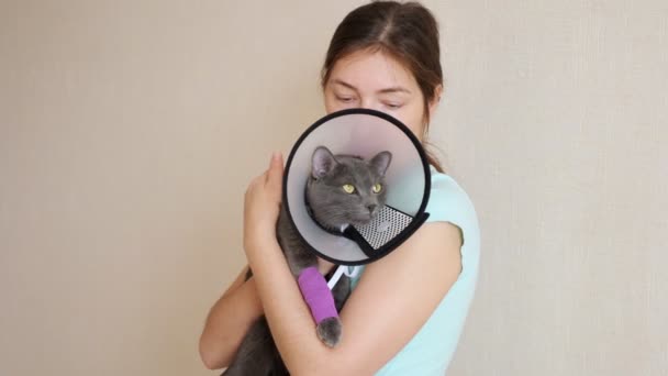 Mooie grijze kat in een veterinaire halsband met een verbandpootje in de armen van een vrouw.slow motion — Stockvideo