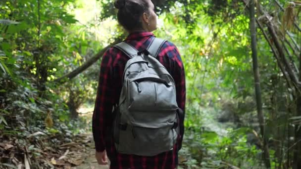 Jonge vrouw met rugzak wandelingen in weelderig tropisch bos — Stockvideo
