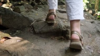 Turist kadınlar orman yolunda yürürler ve taşlara basarlar.