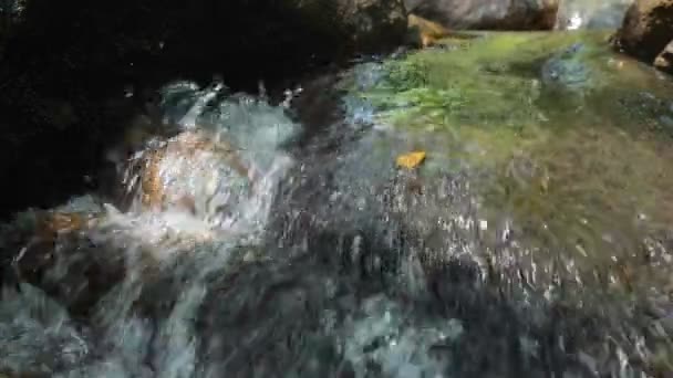 La luz del sol cae en el arroyo con el agua clara que fluye más allá de las piedras — Vídeos de Stock