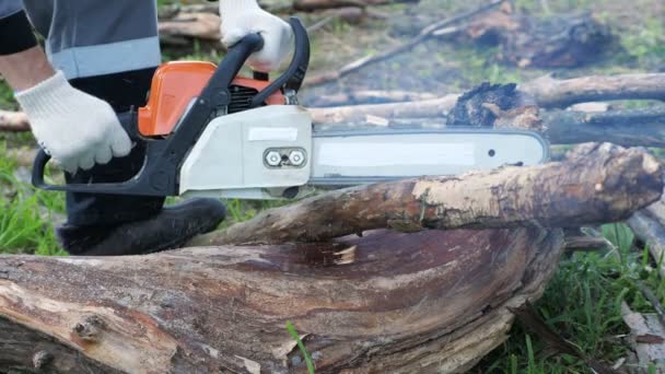 Unrecognizable man chainsaw cuts dry trees — Stock Video