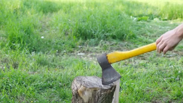 Mann hackt Holz mit einer Axt mit gelbem Griff auf einem Hintergrund aus grünem Gras — Stockvideo