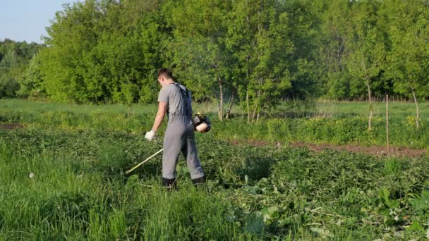 Un hombre guapo con uniforme de trabajo corta hierba con una podadora. Vista desde atrás — Vídeos de Stock