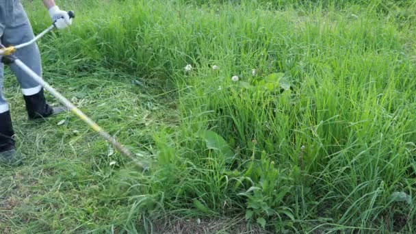 Gräs rengöring med en trimmer. Oigenkännlig man i grå overaller — Stockvideo