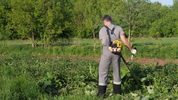 El hombre de uniforme de trabajo corta hierba con una podadora. vista desde atrás — Vídeos de Stock