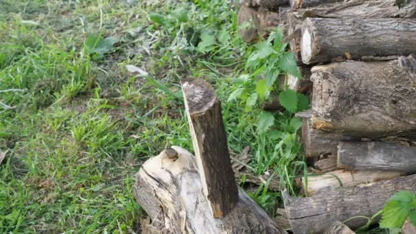 Nierozpoznawalny człowiek rąbiący drewno siekierą z żółtym uchwytem — Wideo stockowe