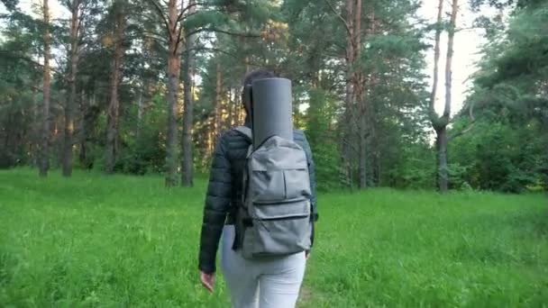 Jonge vrouw met een rugzak loopt door het bos alleen — Stockvideo