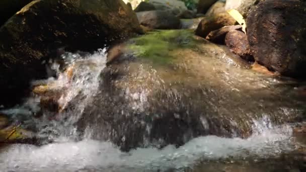 Solljus faller över bäcken med klart vatten som rinner förbi stenar — Stockvideo