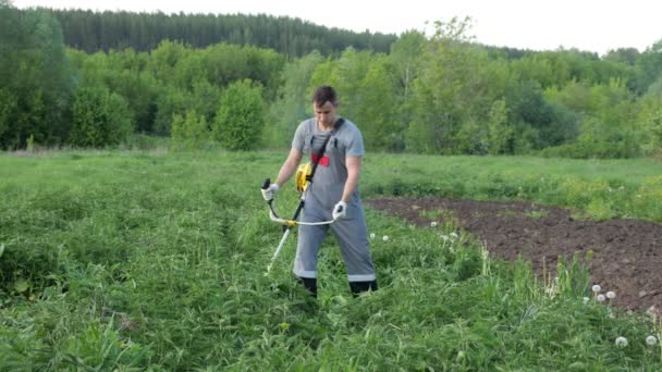 Muž v šedém pracovním oděvu seká kopřivy s trimmerem v poli — Stock video