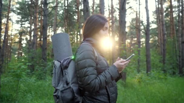 Barna egy hátizsák áll a fenyők között, és nézi a telefont a naplementében — Stock videók