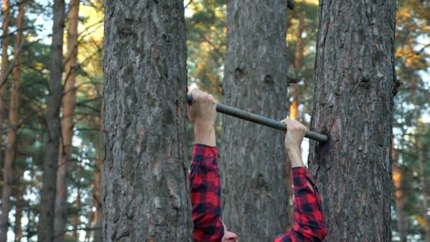 L'uomo in camicia a quadri si tira appena su una sbarra orizzontale nel bosco — Video Stock