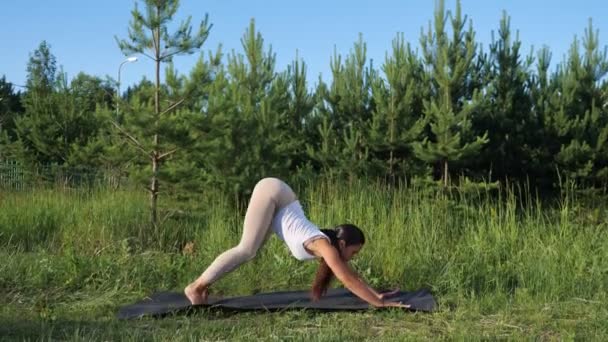 Mulher fazendo alongamento no tapete ginástica na floresta — Vídeo de Stock