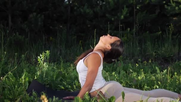 Jeune femme faisant des étirements, touchant les orteils de sa tête — Video