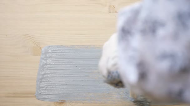 Vrouw verft houten oppervlak met licht grijze kleur in kamer — Stockvideo