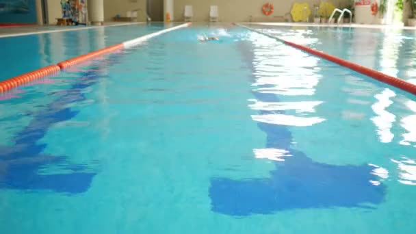 Mujer nada estilo de rastreo frontal en la piscina de agua clara en el gimnasio — Vídeos de Stock