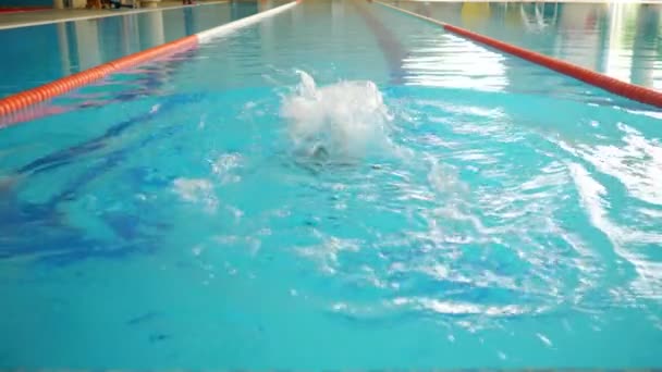 Kvinnan i svart baddräkt simmar längs spåret i poolen — Stockvideo