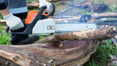 Tanımlanamayan adam elektrikli testere kuru ağaçları keser