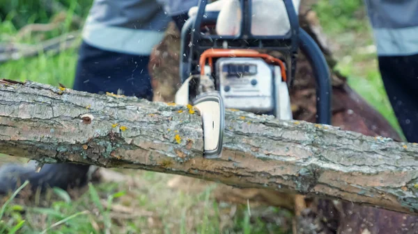 Close-up of sawing a dry branch with a chainsaw. Slow motion — Stock Photo, Image