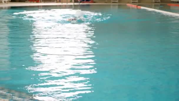 Mulher forte nada estilo backstroke na água da piscina clara — Vídeo de Stock