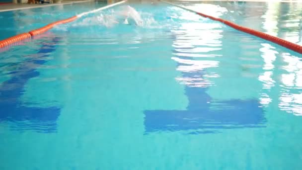 Kobieta pływaczka w czapce i gogle pływa po pasie basenu — Wideo stockowe