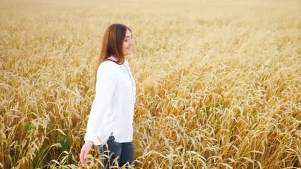 Młoda kobieta w białej koszuli i dżinsach spaceruje po polu dojrzałej pszenicy w zwolnionym tempie — Wideo stockowe