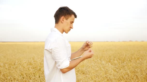 Muž v bílé košili s tabletou drží na poli pšeničné ucho — Stock video
