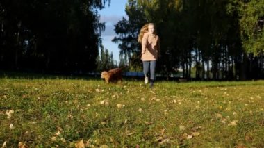 Kız tüylü Rus spanyelini kırmızı tasmayla tutuyor ve kaçıyor.