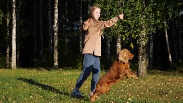 Glada flicka imiterar kasta pinne och skrattar åt ingefära hund — Stockvideo