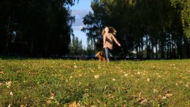 Lady med lång lös flödande hår löper bakom lurvig hund — Stockvideo
