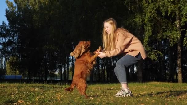 Chica rubia de pelo largo juega con el perro jengibre sosteniendo las patas — Vídeos de Stock