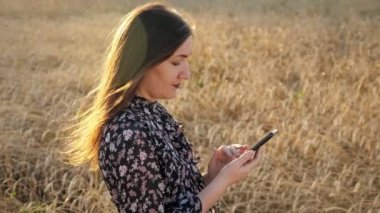 Elbiseli genç kadın telefona bakar, buğday tarlasında durur.