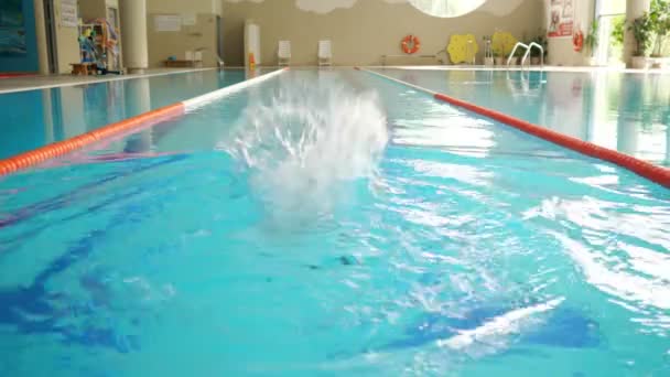 Αθλητική γυναίκα με μαύρο μαγιό κολυμπά πεταλούδα εγκεφαλικό επεισόδιο στην πισίνα — Αρχείο Βίντεο