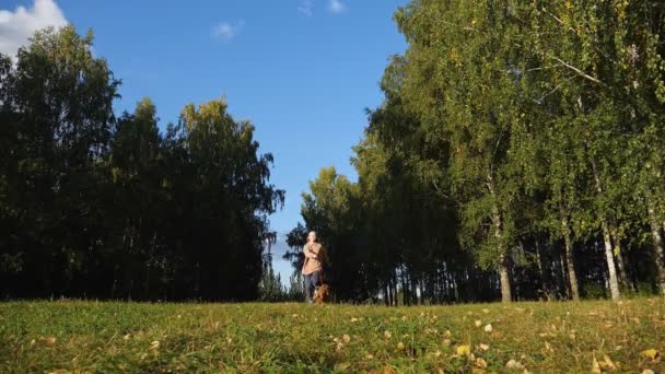 Flicka håller lurviga ryska spaniel i rött koppel och kör — Stockvideo