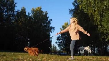 Kot pantolonlu genç sarışın parkta zencefilli spanyel tasma tutuyor.