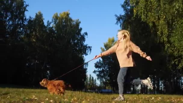 Ung blondin i jeans håller ingefära spaniel i koppel i parken — Stockvideo