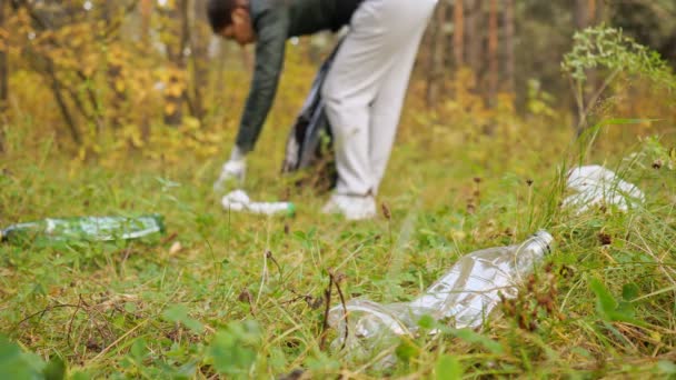Kobieta zbiera śmieci w czarnej torbie w lesie — Wideo stockowe