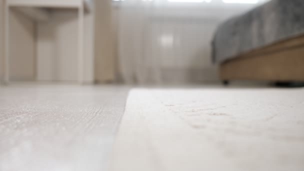 Robot blanc aspirateur aspirateurs plancher conduisant à tapis — Video