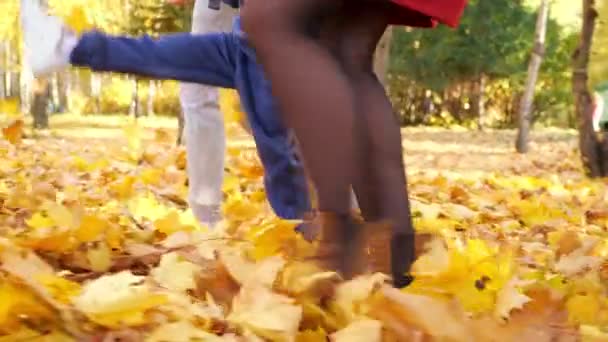 Madre padre e hijo pequeño patean hojas amarillas en el parque — Vídeo de stock