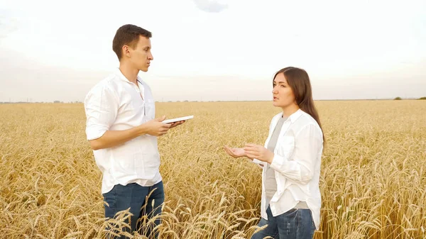 Tabletli kadın ve adam olgunlaşmış buğday tarlasında konuşuyor.