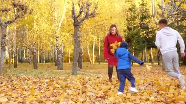 Anya, apa és fia száraz leveleket dobálnak, időt töltenek a parkban. — Stock videók