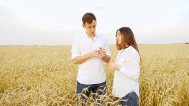 Beyaz gömlekli bir adam ve bir kadın olgun buğday başaklarına bakıyorlar.