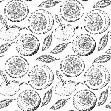 Elle çizilmiş limon ve yaprakları ile dikişsiz desen. Narenciye siyah beyaz arka plan. Vektör çizimi. 